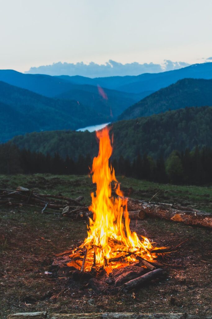 bonfire near grass field during dawn