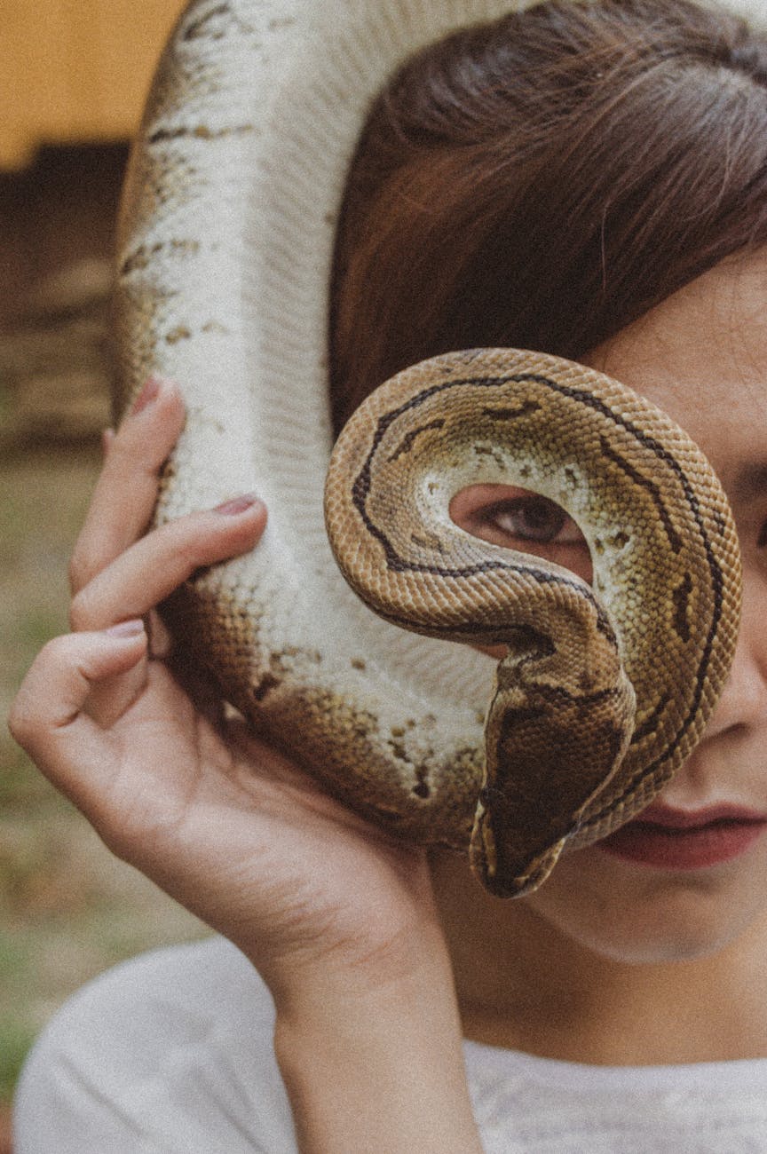 mulher segurando cobra marrom